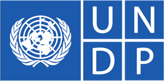UNDP logo